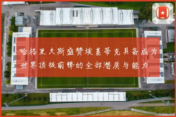 哈格里夫斯盛赞埃基蒂克具备成为世界顶级前锋的全部潜质与能力